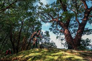 BIB: 
                            <button type="button" onclick="openModal(28597414)" class="btn btn-primary btn-sm float-right btn-popup" data-toggle="modal" data-target=".modal-high-quality">
                        <i class="fas fa-shopping-cart"></i> Add to Cart
                    </button>
                                            <button type="button" onclick="isThisMe(28597414, true)" class="btn btn-success btn-sm float-right btn-popup btn-isme hidden" data-toggle="tooltip" data-placement="bottom" title="นี่คือรูปของคุณใช่ไหม คลิกที่นี่เพื่อเอาเข้าอัลบั้ม">
                        <i class="fas fa-plus"></i> Add to album
                    </button>
                    <button type="button" onclick="isThisMe(28597414, false)" class="btn btn-warning btn-sm float-right btn-popup btn-isnotme hidden">
                        <i class="fas fa-ban"></i> Remove from album
                    </button>